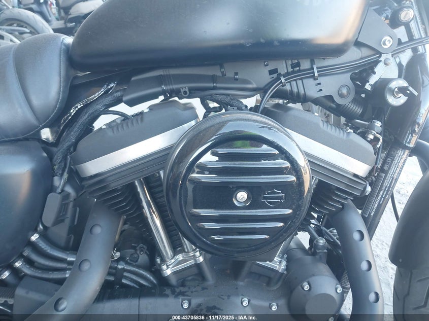 2021 Harley-Davidson Xl883 N VIN: 1HD4LE212MB417785 Lot: 43705836