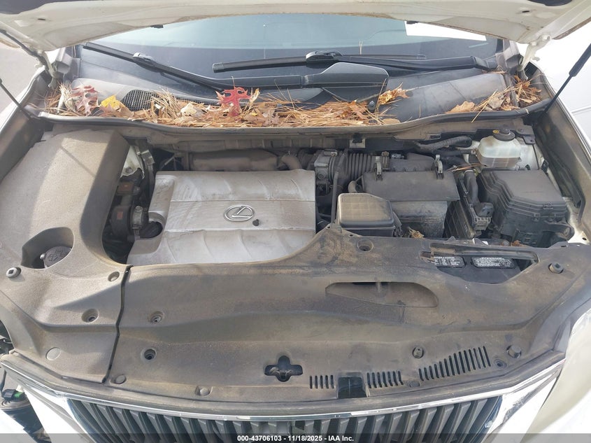 2010 Lexus Rx 350 VIN: JTJZK1BA6A2405022 Lot: 43706103