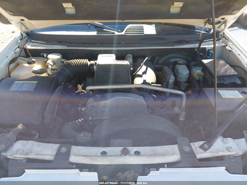 2008 Chevrolet Trailblazer Fleet VIN: 1GNDS13S182125319 Lot: 43706445