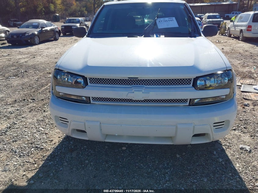 2008 Chevrolet Trailblazer Fleet VIN: 1GNDS13S182125319 Lot: 43706445