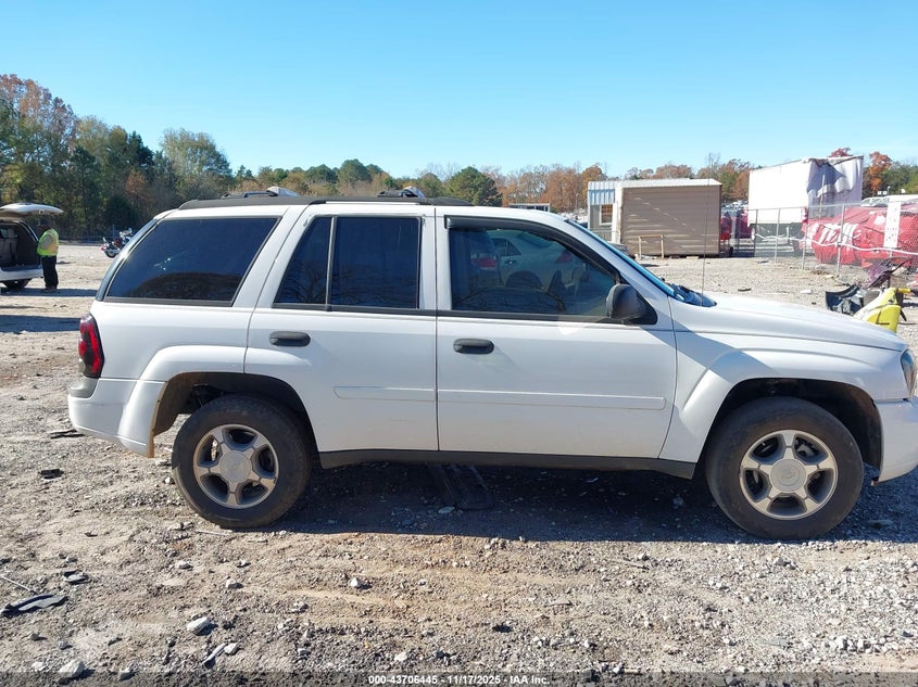 2008 Chevrolet Trailblazer Fleet VIN: 1GNDS13S182125319 Lot: 43706445