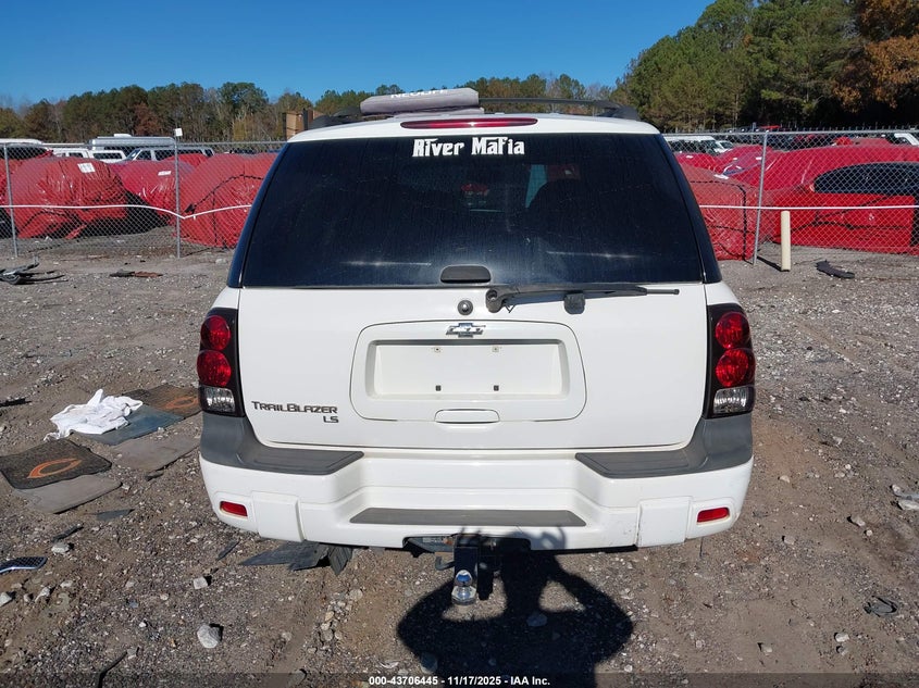 2008 Chevrolet Trailblazer Fleet VIN: 1GNDS13S182125319 Lot: 43706445