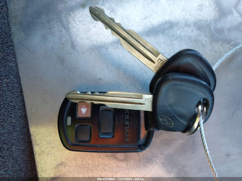 2003 Hyundai Santa Fe Gls/Lx VIN: KM8SC73E93U488499 Lot: 43706601