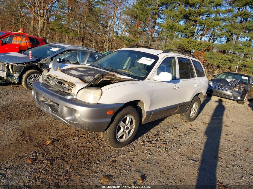 KM8SC73E93U488499 2003 HYUNDAI SANTA FE photo no. 2