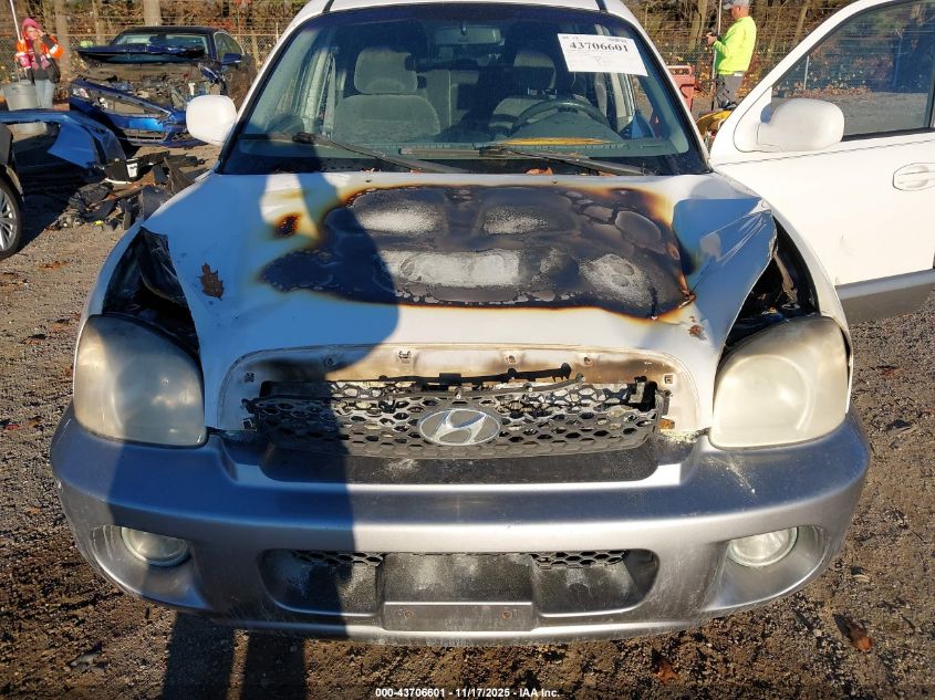 2003 Hyundai Santa Fe Gls/Lx VIN: KM8SC73E93U488499 Lot: 43706601