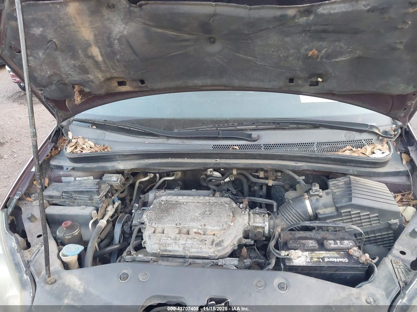 2007 Honda Odyssey Ex-L VIN: 5FNRL38707B449739 Lot: 43707408