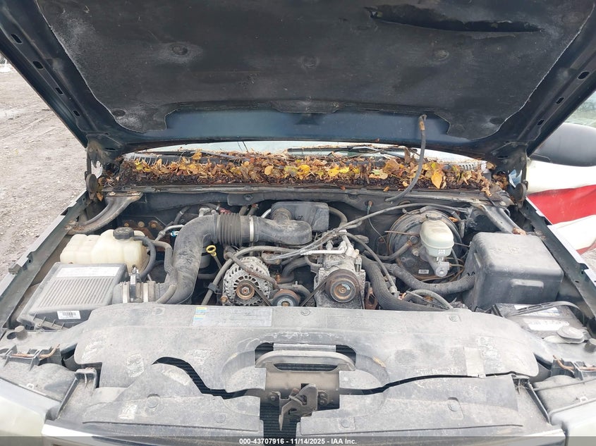 3GCEK14X56G183381 2006 CHEVROLET SILVERADO photo no. 10