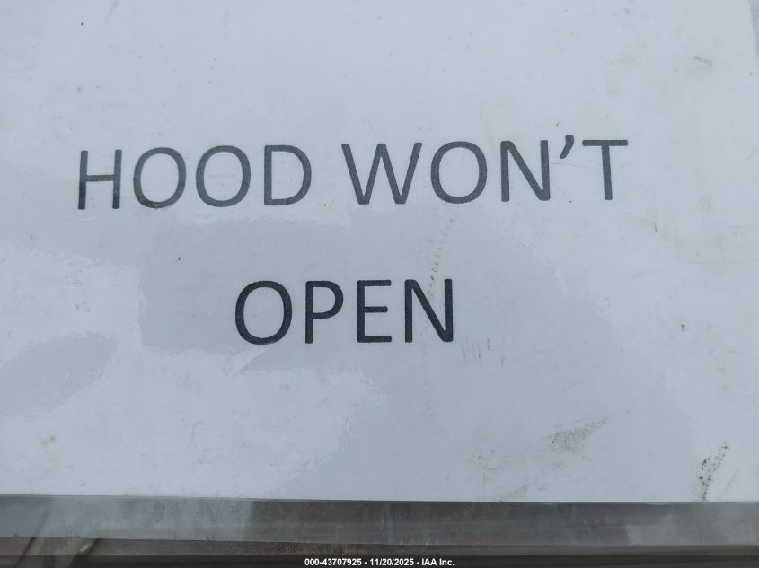 2003 Chevrolet Silverado 1500 Ls VIN: 1GCEK14T43Z239464 Lot: 43707925