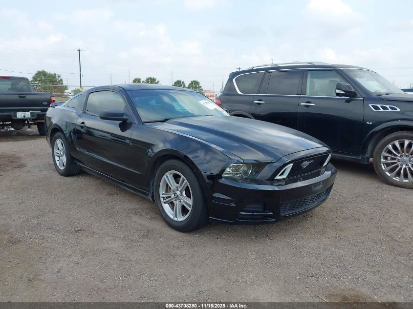 FORD MUSTANG V6