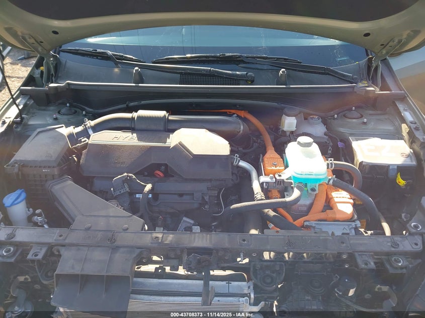 KNDPYDDH3R7152020 2024 KIA SPORTAGE photo no. 10