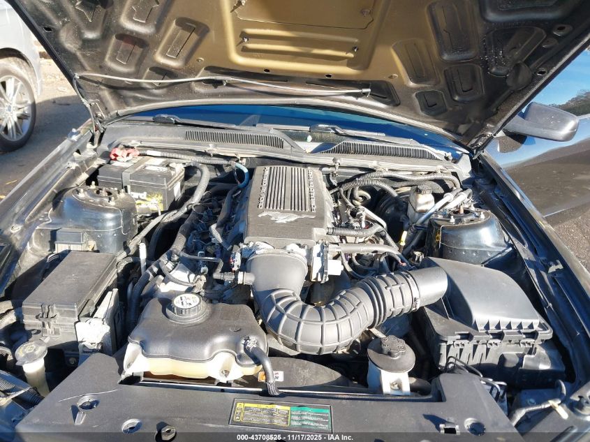 2009 Ford Mustang Gt/Gt Premium VIN: 1ZVHT82H295132864 Lot: 43708525