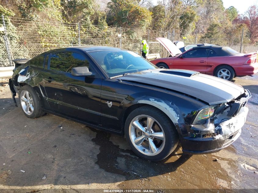 2009 Ford Mustang Gt/Gt Premium VIN: 1ZVHT82H295132864 Lot: 43708525