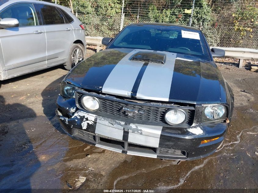 2009 Ford Mustang Gt/Gt Premium VIN: 1ZVHT82H295132864 Lot: 43708525