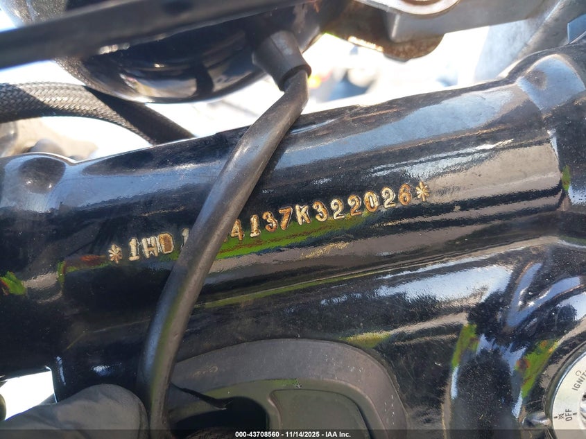 1HD1GX4137K322026 2007 HARLEY-DAVIDSON SPORTSTER photo no. 10