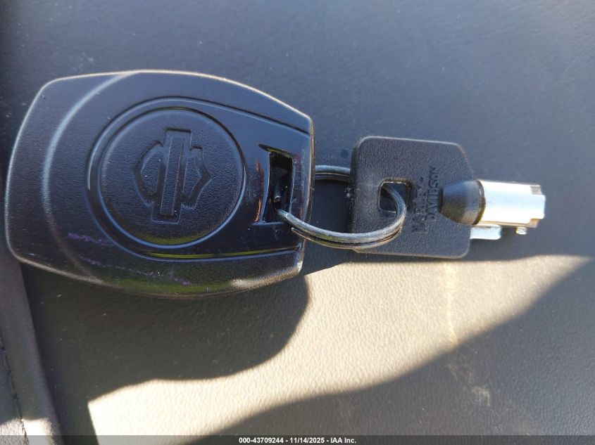 2024 Harley-Davidson Flhx VIN: 1HD1KB711RB640291 Lot: 43709244