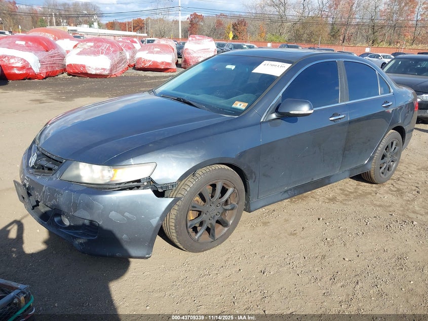 2006 Acura Tsx VIN: JH4CL96876C003831 Lot: 43709339