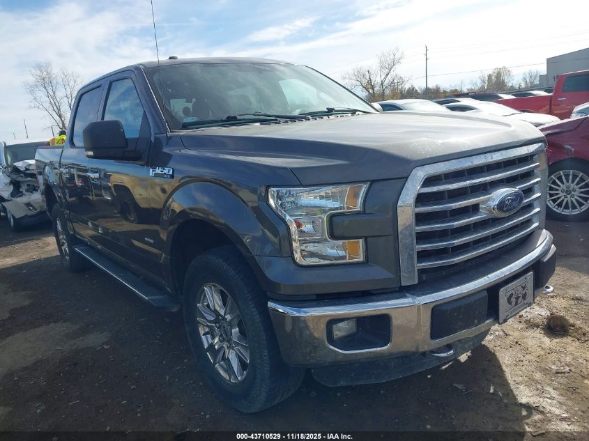 FORD F-150 XLT