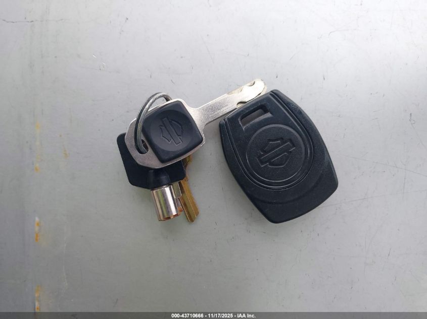 2023 Harley-Davidson Rh975 S VIN: 1HD1ZF120PB304097 Lot: 43710666