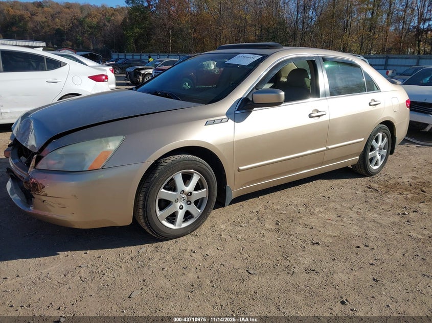 1HGCM66515A059455 2005 HONDA ACCORD photo no. 2