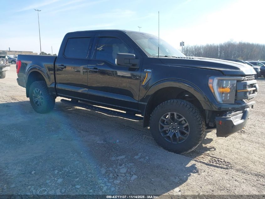 FORD F-150 TREMOR