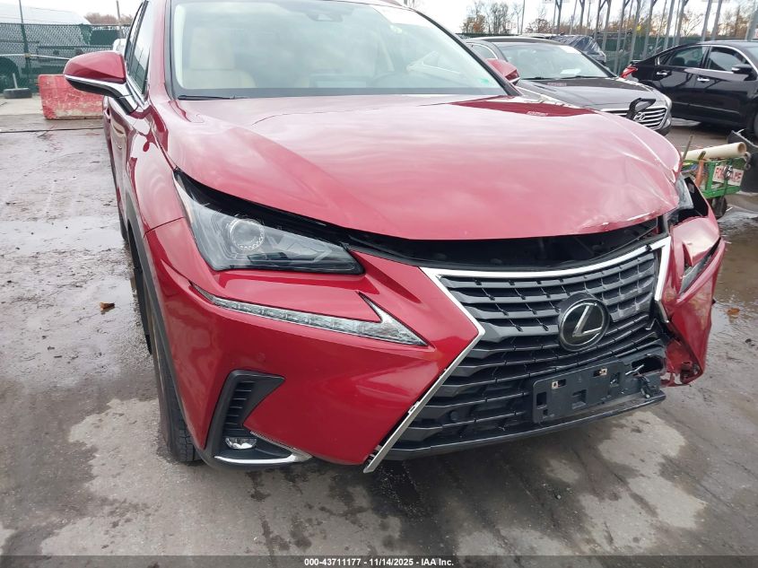 2021 Lexus Nx 300 VIN: JTJDARDZ5M5028006 Lot: 43711177