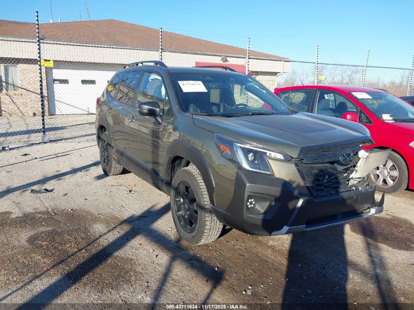 SUBARU FORESTER WILDERNESS