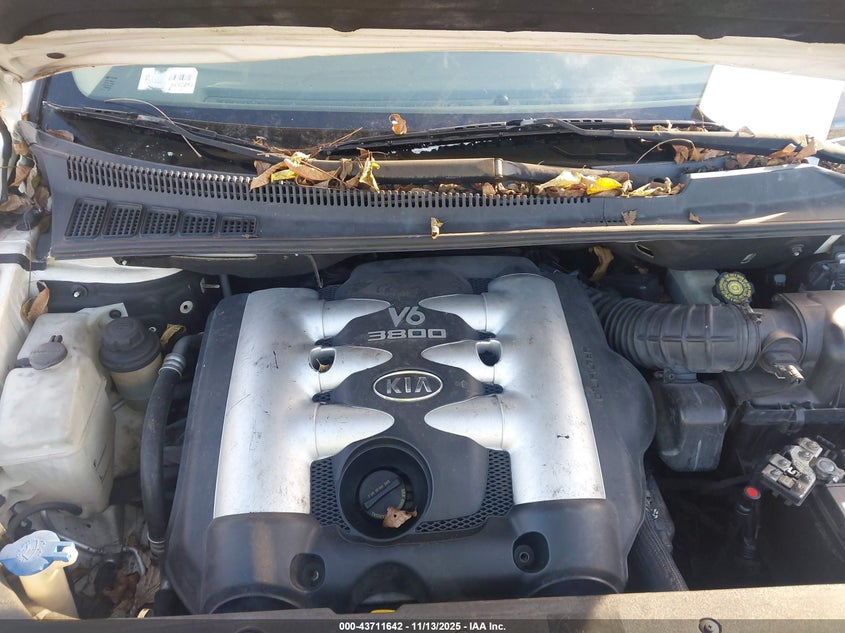 2006 Kia Sedona Ex/Lx VIN: KNDMB233366066562 Lot: 43711642