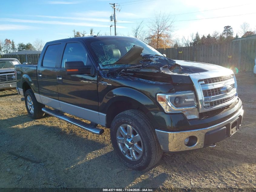 FORD F-150 XLT