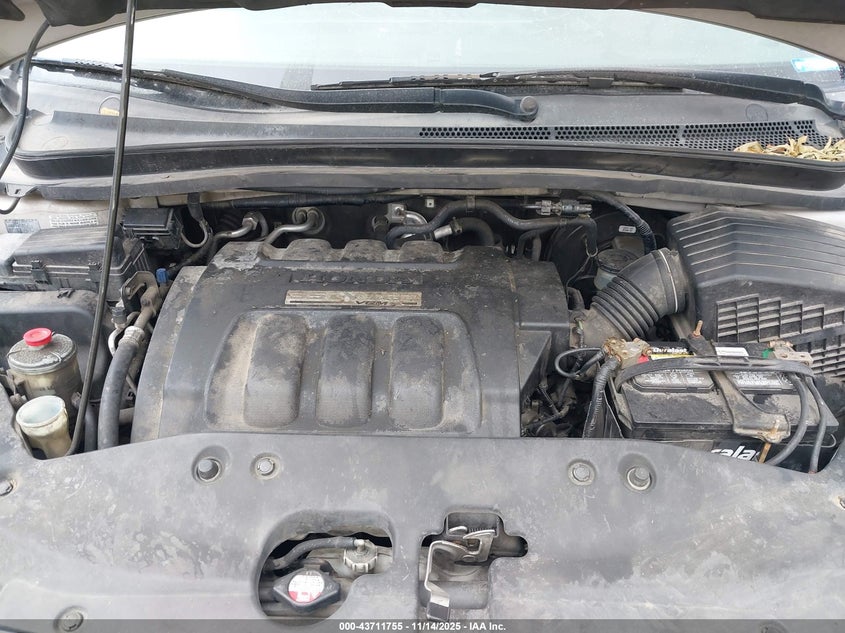 2006 Honda Odyssey Ex-L VIN: 5FNRL38756B431543 Lot: 43711755