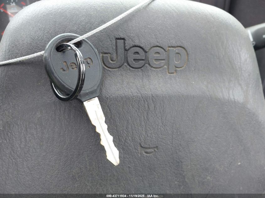 2002 Jeep Wrangler Sport VIN: 1J4FA49S72P772650 Lot: 43711934