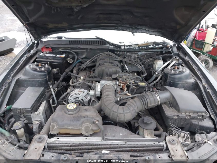 2009 Ford Mustang V6/V6 Premium VIN: 1ZVHT84N095112938 Lot: 43712227