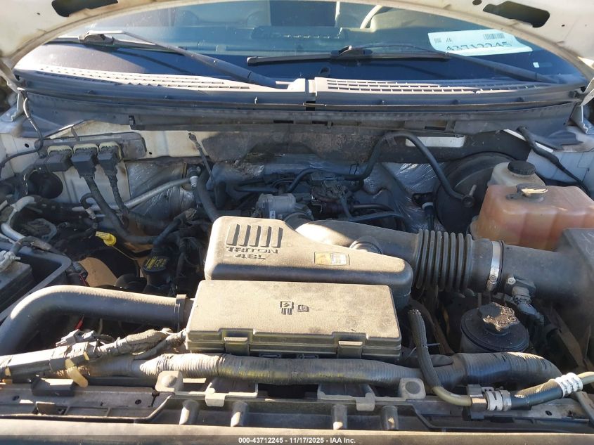 2009 Ford F-150 Stx/Xl/Xlt VIN: 1FTRF12W29KB81469 Lot: 43712245