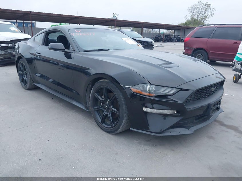 1FA6P8TH1K5196256 2019 Ford Mustang Ecoboost auction photo 1