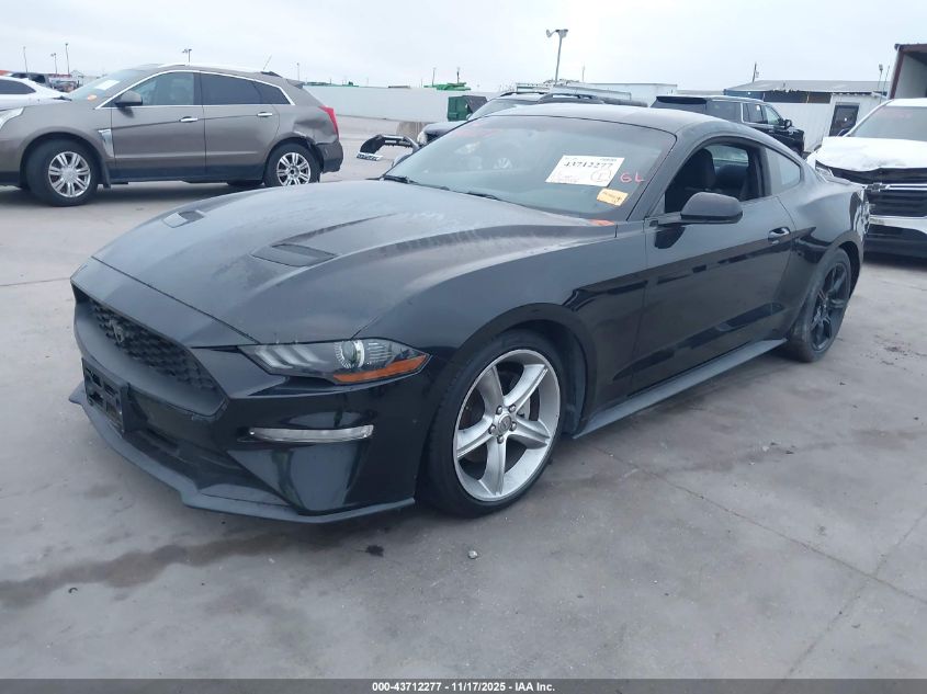 2019 Ford Mustang Ecoboost VIN: 1FA6P8TH1K5196256 Lot: 43712277