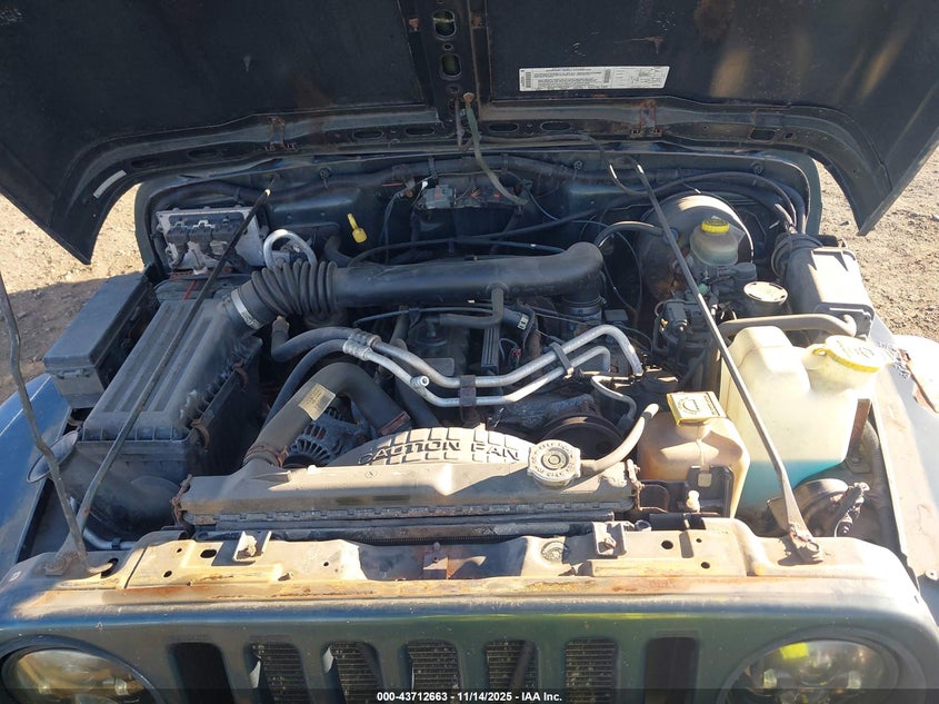 2002 Jeep Wrangler Sport VIN: 1J4FA49S52P755359 Lot: 43712663