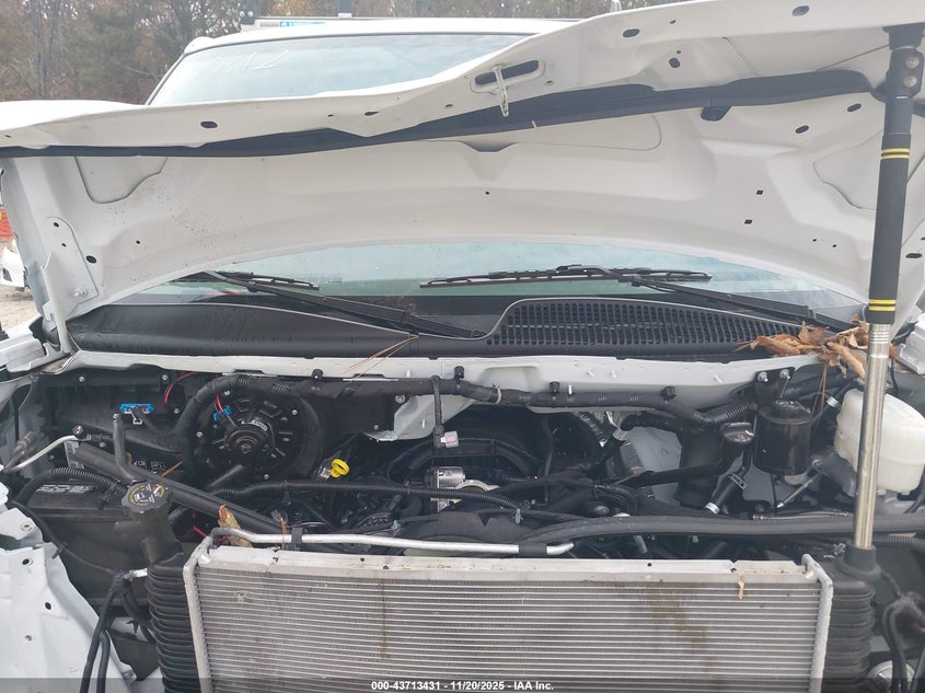 2025 Chevrolet Express Cargo Rwd 2500 Regular Wheelbase Wt VIN: 1GCWGAF76S1107812 Lot: 43713431