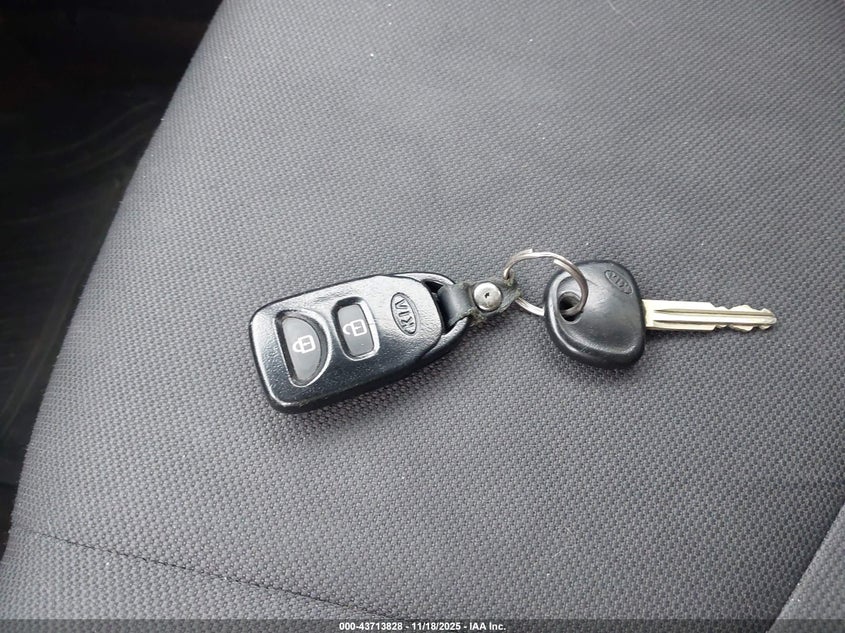 2010 Kia Soul + VIN: KNDJT2A24A7700507 Lot: 43713828