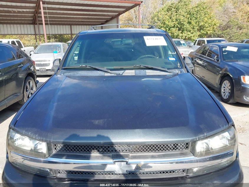 2004 Chevrolet Trailblazer Lt VIN: 1GNDT13S342163027 Lot: 43714035