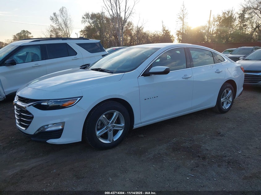 1G1ZD5ST1RF128816 2024 CHEVROLET MALIBU photo no. 2