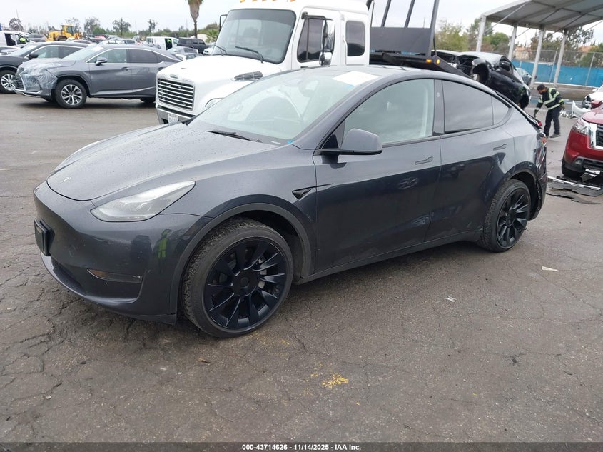 7SAYGDEE0RA224443 2024 TESLA MODEL Y photo no. 2