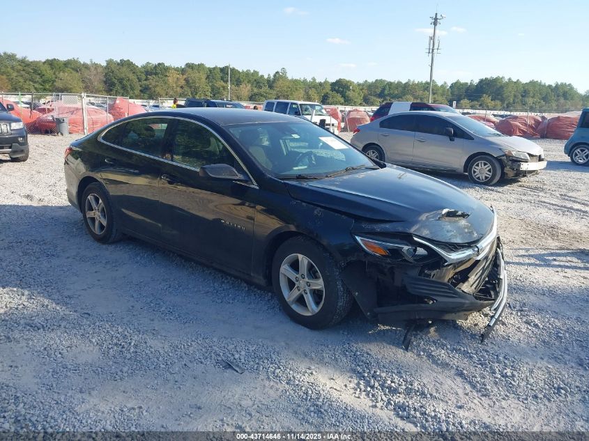 CHEVROLET MALIBU 1FL