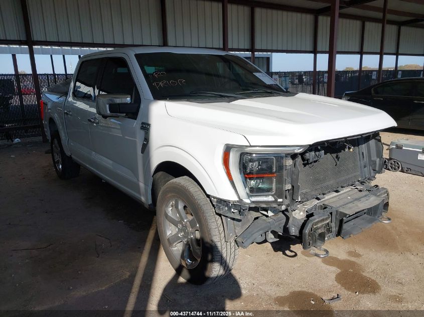 FORD F-150 KING RANCH