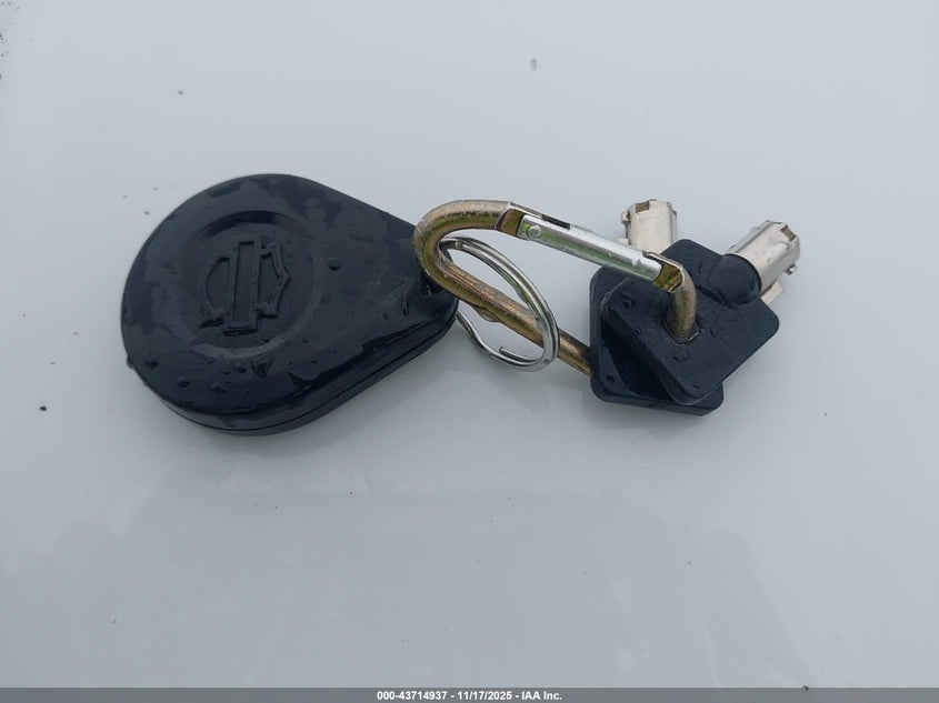 2021 Harley-Davidson Fltrxs VIN: 1HD1KTP14MB601791 Lot: 43714937