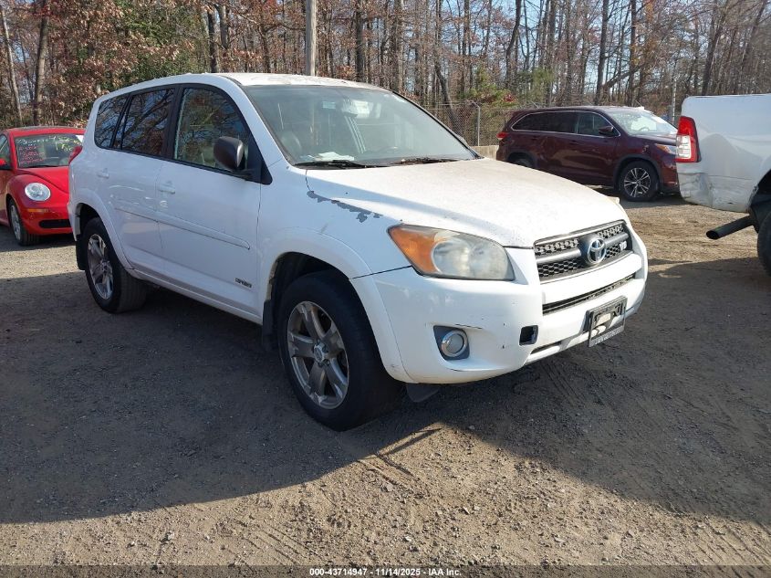 TOYOTA RAV4 SPORT V6