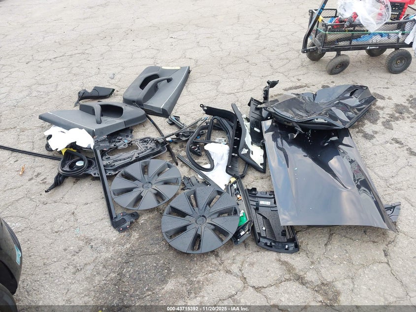 2025 Tesla Model 3 Long Range Rear-Wheel Drive/Standard VIN: 5YJ3E1EA0SF985863 Lot: 43715392