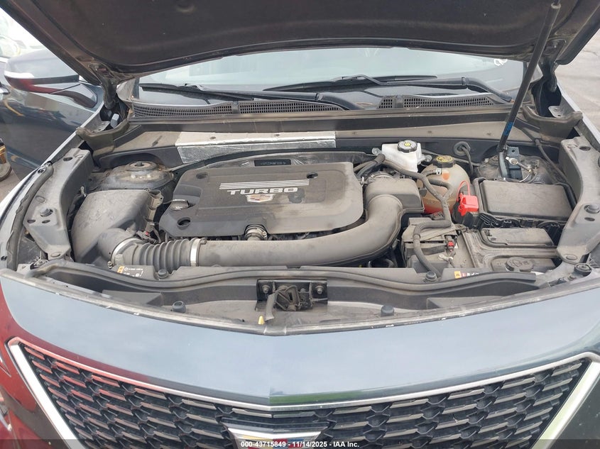 2021 Cadillac Xt4 Premium Luxury VIN: 1GYFZCR49MF003919 Lot: 43715849