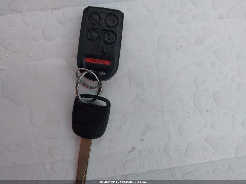 2007 Honda Odyssey Ex-L VIN: 5FNRL38607B425531 Lot: 43715911