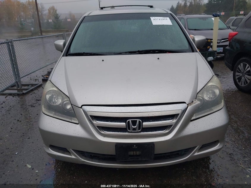 2007 Honda Odyssey Ex-L VIN: 5FNRL38607B425531 Lot: 43715911