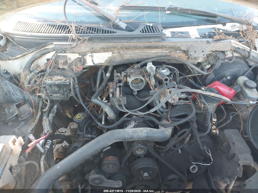 2001 Ford F-150 Harley-Davidson Edition/King Ranch Edition/Lariat/Xlt VIN: 1FTRW07W91KD95947 Lot: 43715916