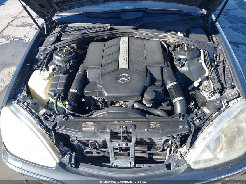 2002 Mercedes-Benz S 500 VIN: WDBNG75J42A309252 Lot: 43715946